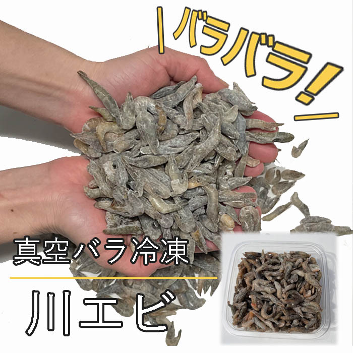 真空バラ冷凍 川エビ 500g エサ用