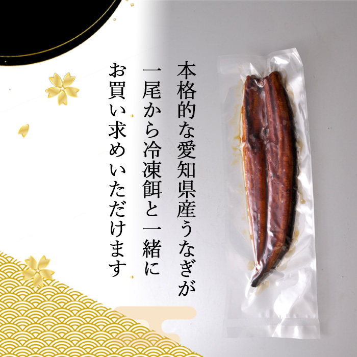 冷凍エサと同梱用:うなぎ蒲焼 【愛知県産】 訳あり品 梅(133g~150g) 簡易包装