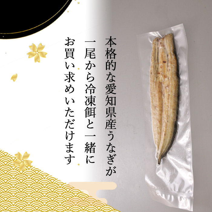 冷凍エサと同梱用:うなぎ白焼 【愛知県産】 訳あり品 梅(133g~150g) 簡易包装