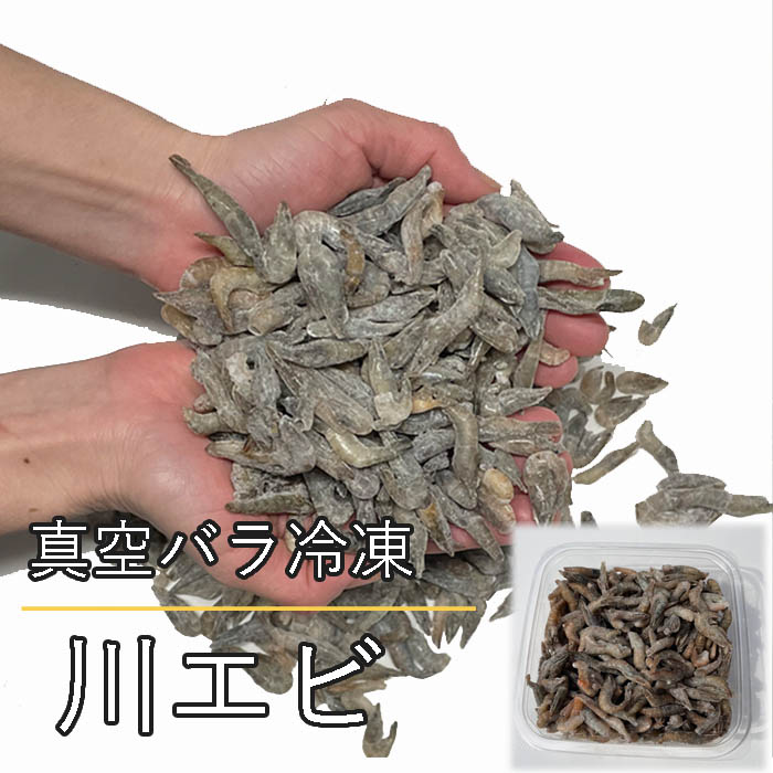 真空バラ冷凍 川エビ 500g エサ用