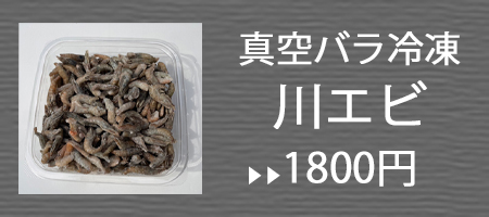 バラ冷凍かわえび