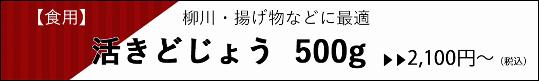 活どじょう