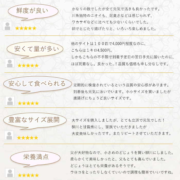 活どじょう