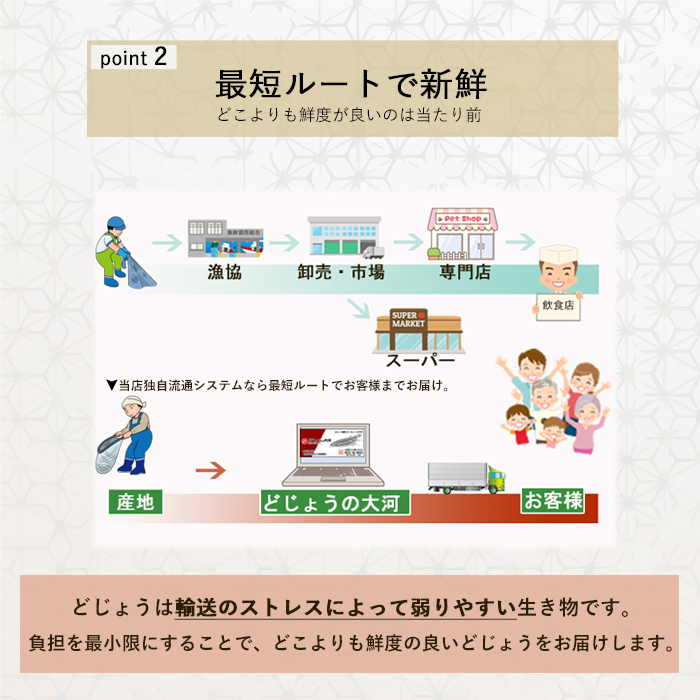 活どじょう