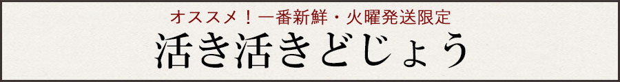 金曜発送限定活き活きどじょう